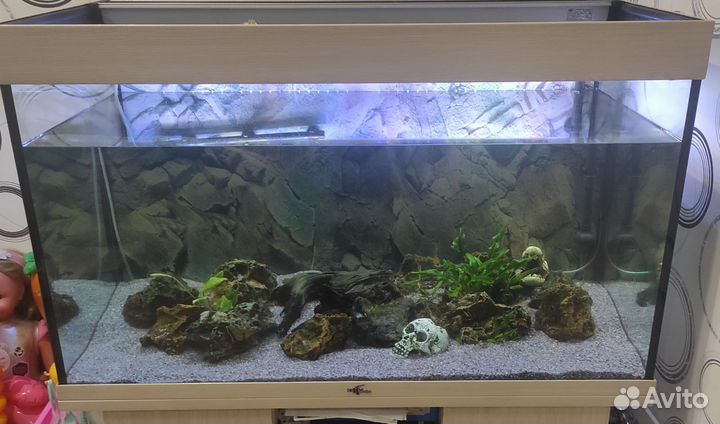 Аквариум Биодизайн Риф250