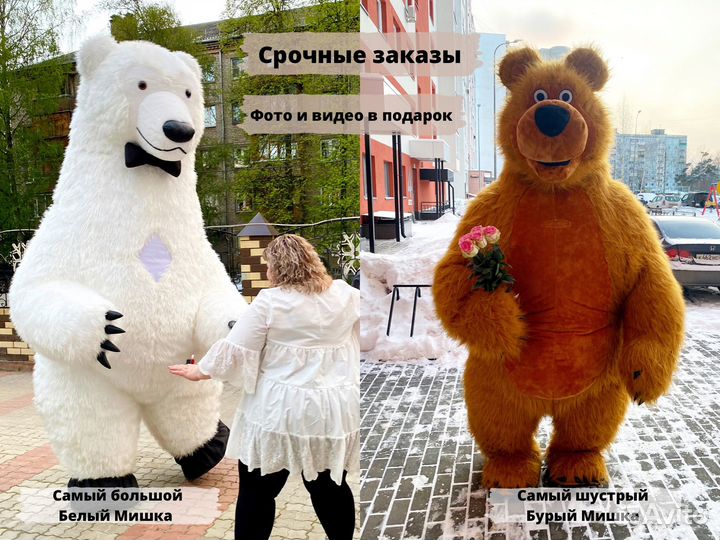 Белый Мишка, Тедди, Бурый Медведь, Ростовые куклы