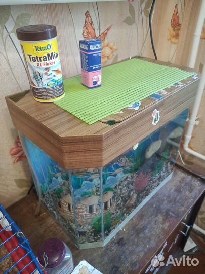 Аквариум с рыбками