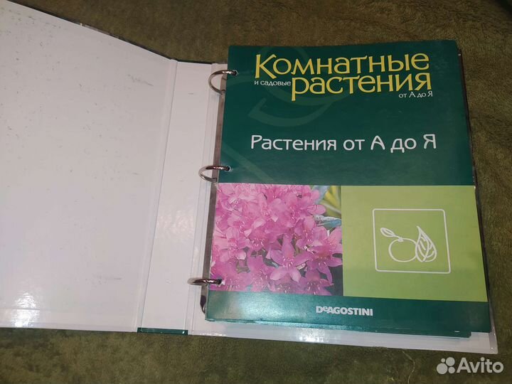 Журналы о цветах