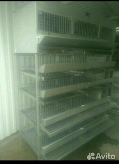 Клетка для перепелов Большая семья