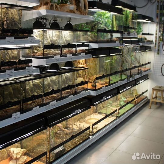 Товары для рептилий