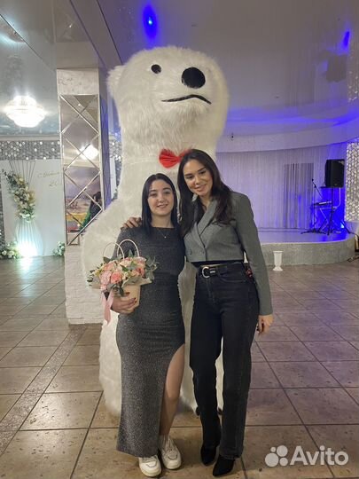 Белый мишка поздравление ростовой медведь аниматор