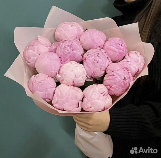 Пионы цветы букет доставка 14 февраля