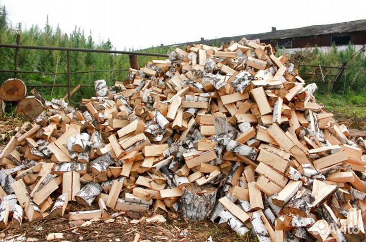 Дрова сухостой