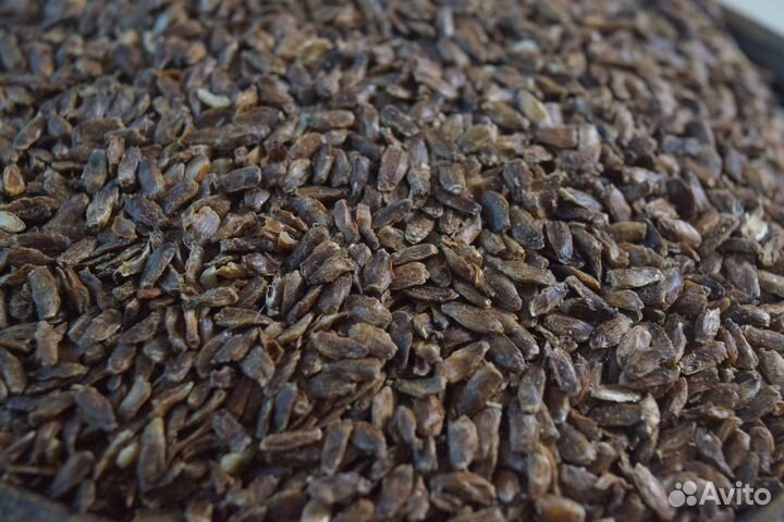 Жмых расторопши, отжим в бочонке