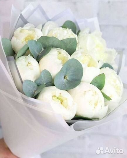 Пионы Розы Доставка