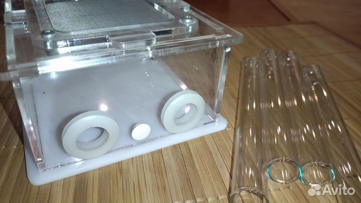 Формикарий