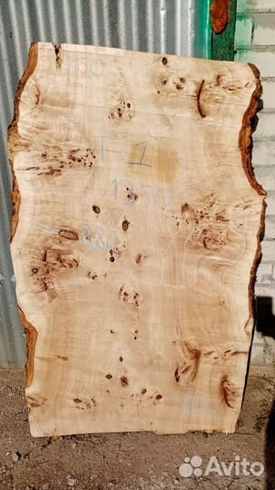 Слэб капового карагача