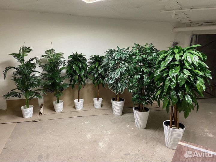 Деревья искусственные. Озеленение под ключ