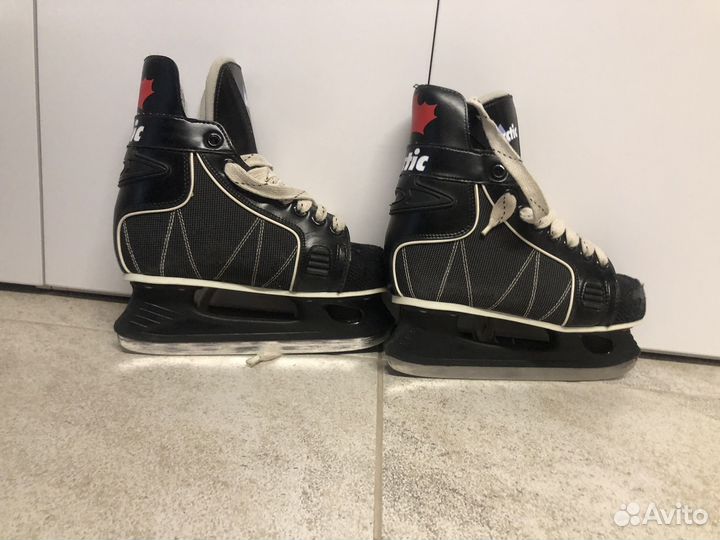 Коньки хоккейные Arctic