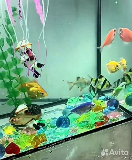 Аквариум с рыбками