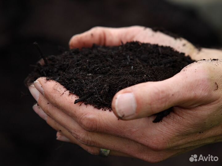 Торф в наличии с доставкой
