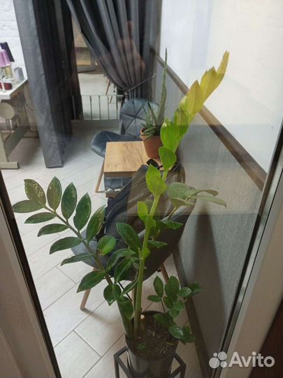 Ремонт одежды