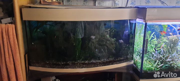 Аквариум