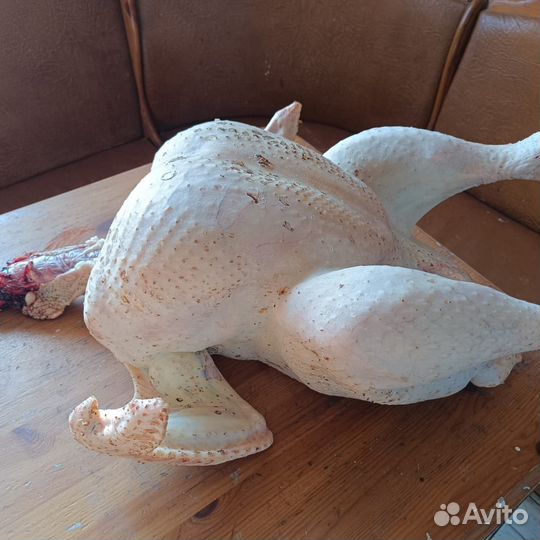 Мясо домашней индейки