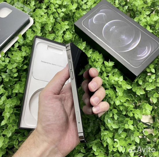 iPhone 12 Pro Graphite