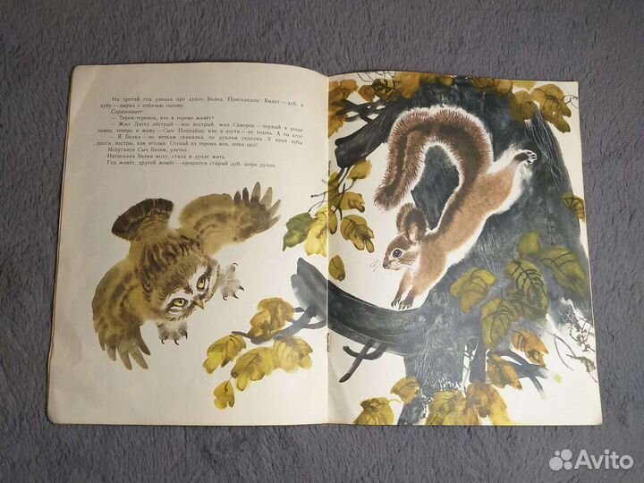 Виталий Бианки Теремок 1981г