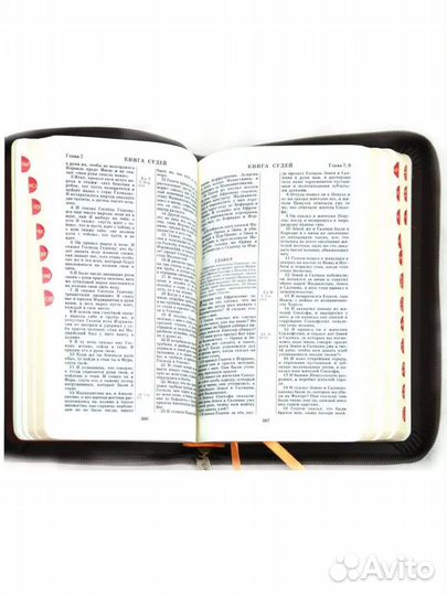 Российское Библейское Общество Библия на молнии