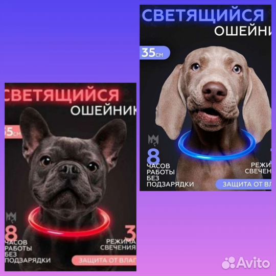 Одежда и товары для животных. Новые