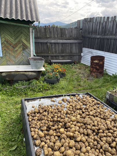 Участок 5 сот. (СНТ, ДНП)