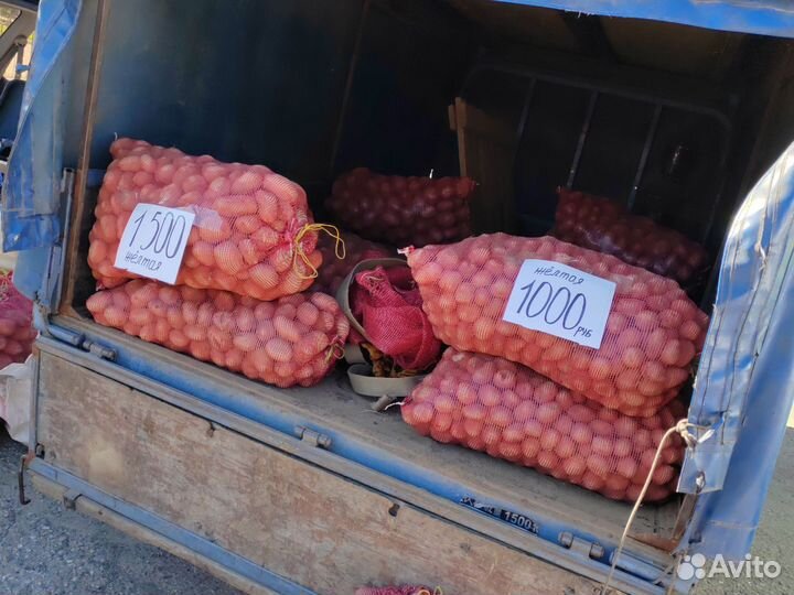 Продам картофель