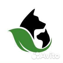 Корм премиум класса 