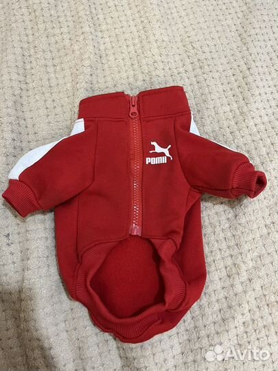 Одежда для маленьких собак