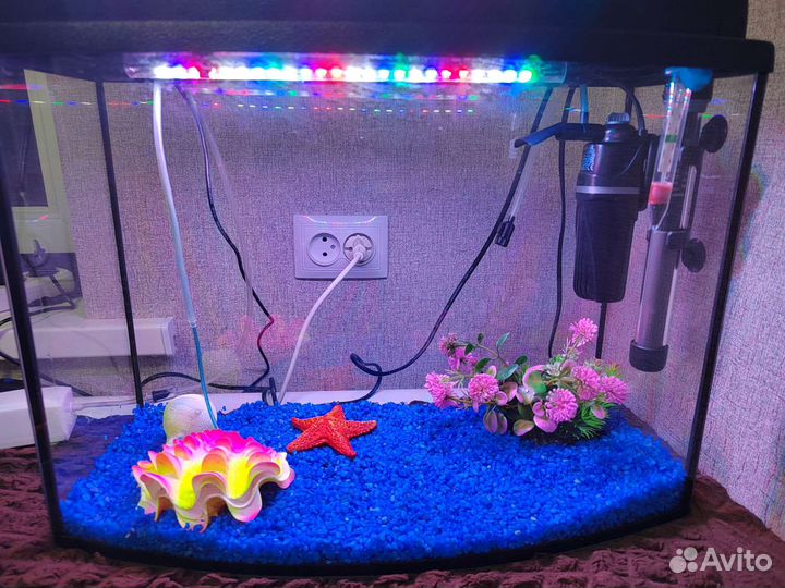 Аквариум
