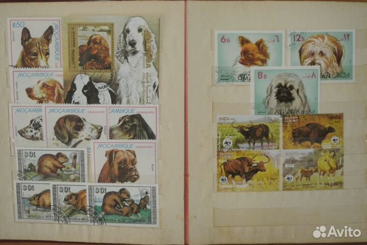 Марки на тему животных