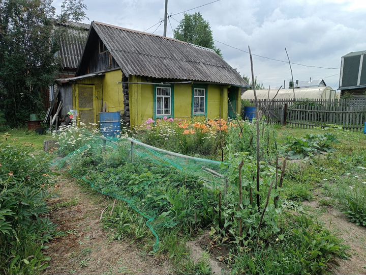 Участок 3,7 сот. (СНТ, ДНП)