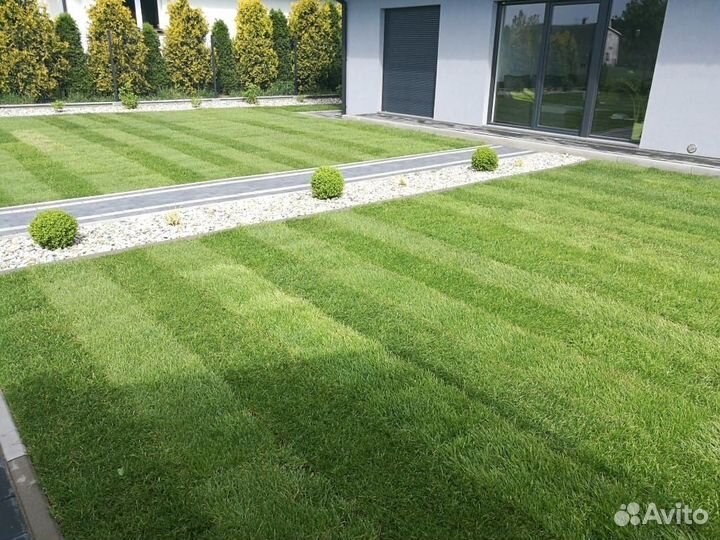 Рулонный газон, укладка рулонного газона