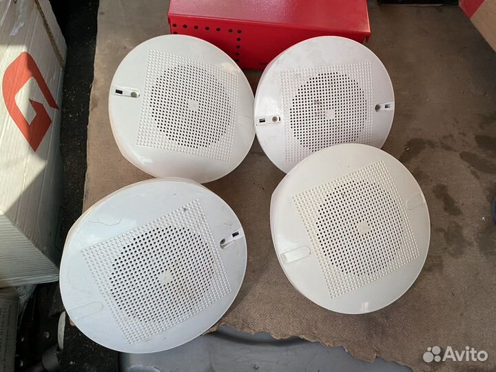 Рупор системы болид