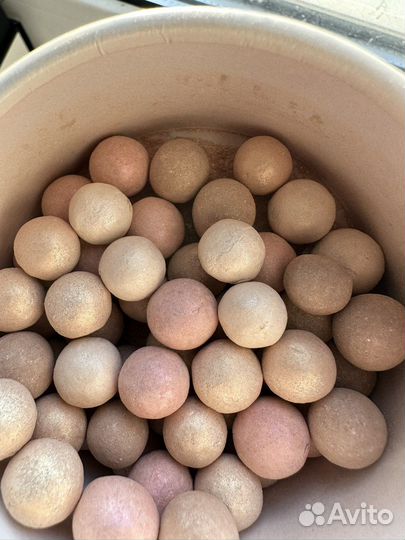 Guerlain meteorites butterfly pearls