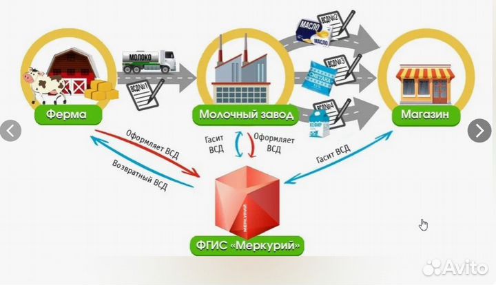 Помощь в регистрации фгис Сатурн, Цербер, Меркурий