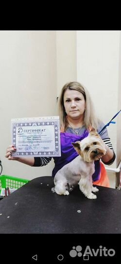 Стрижка собак и кошек