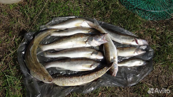 Турбаза Андозеро