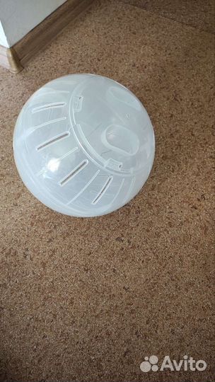 Шар для шиншиллы