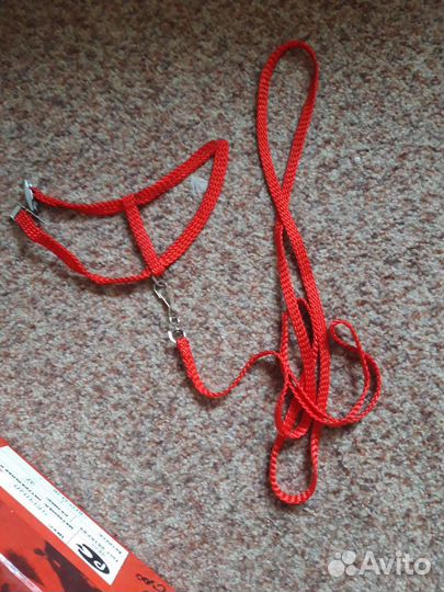 Шлейка для морской свинки