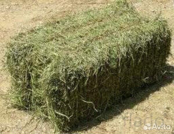 Сено в тюках и рулонах