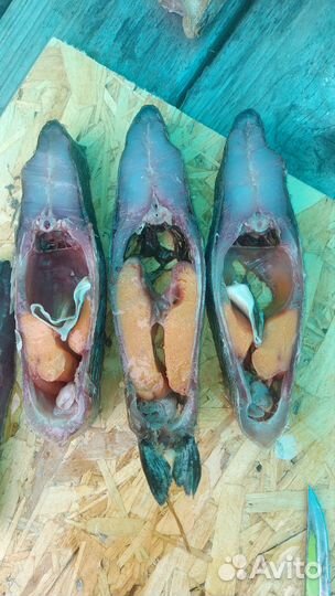 Рыба лещ сухого посола