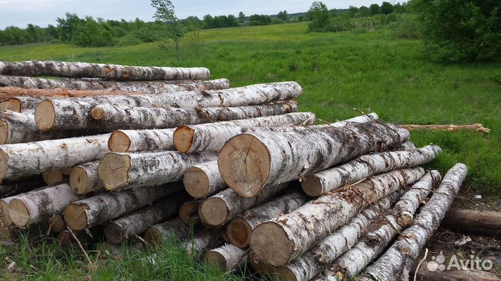 Лес кругляк пиловочник