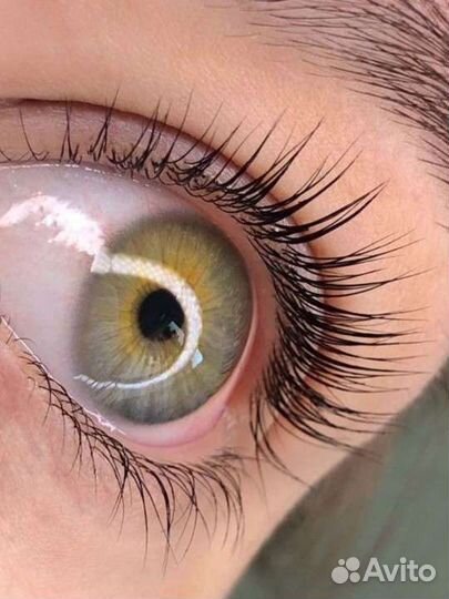 Ламинирование/ботокс ресниц бровей