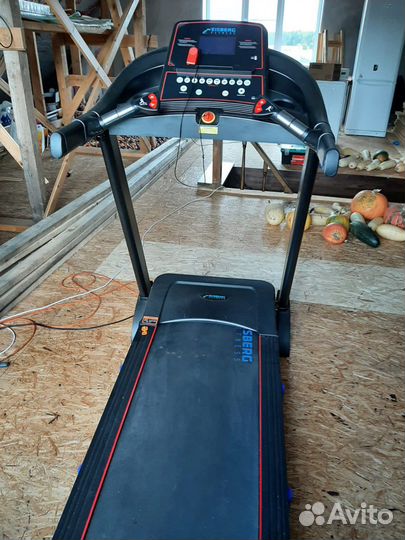 Беговая дорожка eisberg fitness larsen m