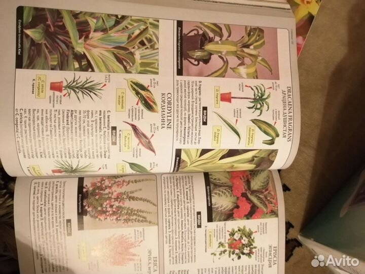 Книги о Комнатных цветах