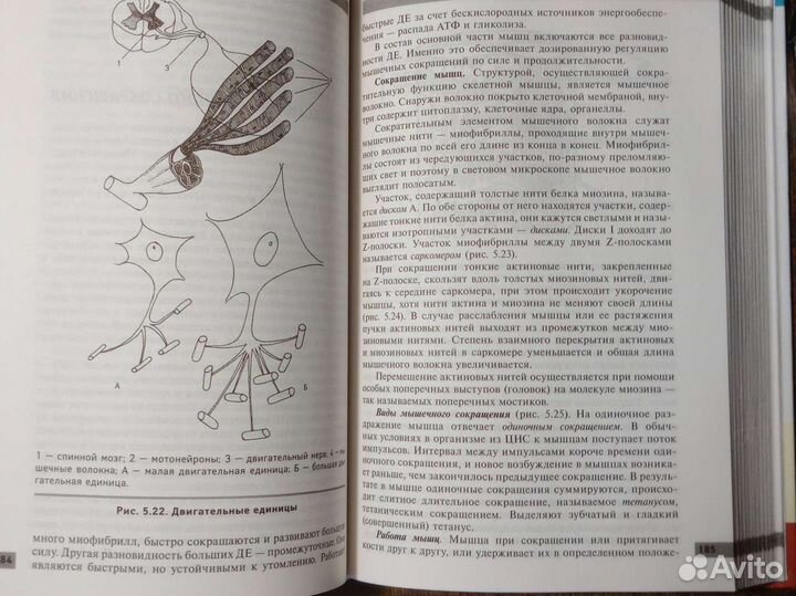 Учебное пособие для студент. Анатомия и физиология