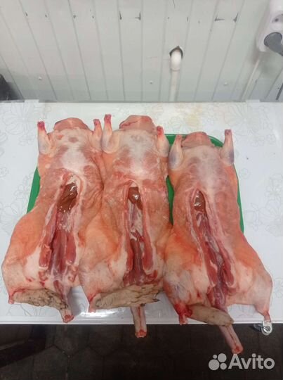 Мясо нутрии