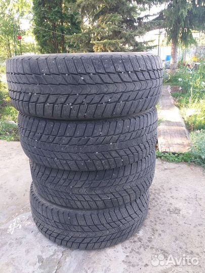 Nexen Winguard Ice Plus 205/60 R16