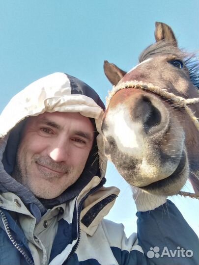 Помощник по хозяйству