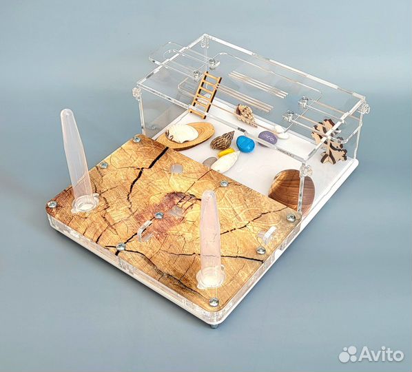 Муравьиная ферма новая + муравьи, корм и декор